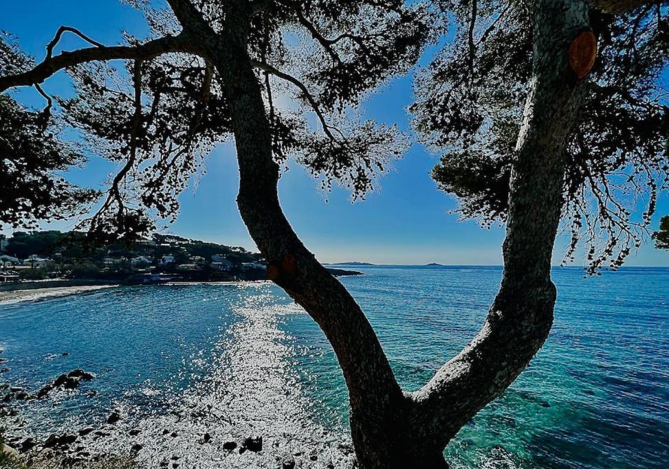 Escapade Au Coeur De Sanary Διαμέρισμα Εξωτερικό φωτογραφία
