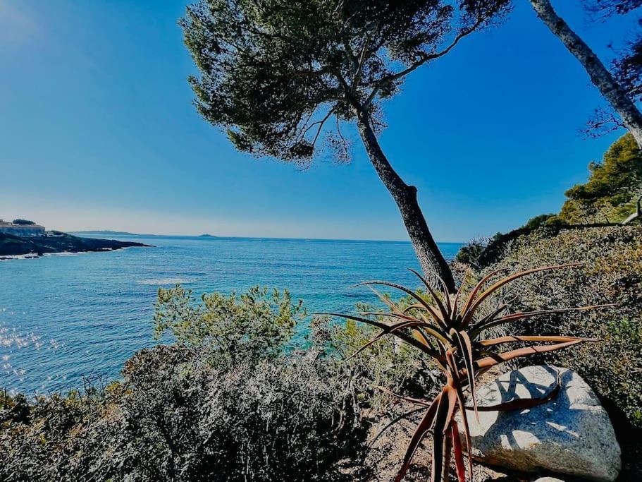 Escapade Au Coeur De Sanary Διαμέρισμα Εξωτερικό φωτογραφία